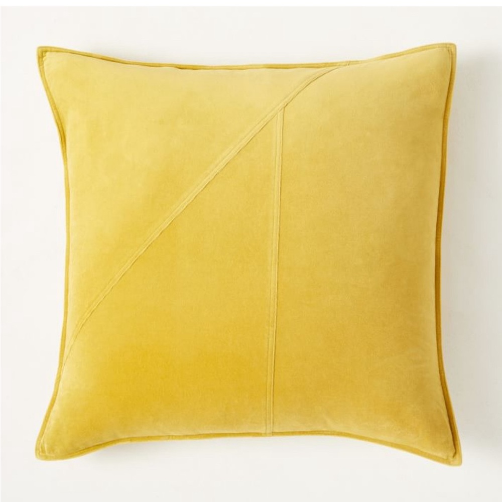 West Elm Velvet Pillow Cases (2)